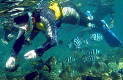 潛水設(shè)備中壓力傳感器應(yīng)用技術(shù)解決方案